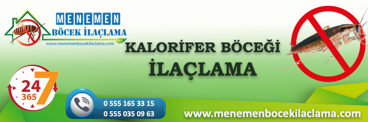Kalorifer Böceği İlaçlama