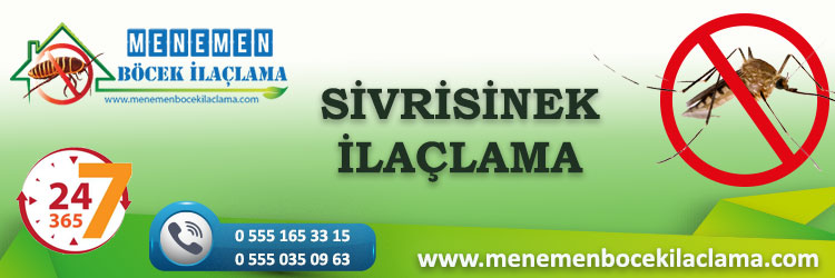 Sivrisinek İlaçlama