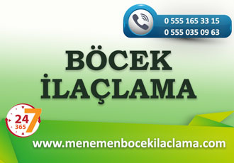 Böcek İlaçlama